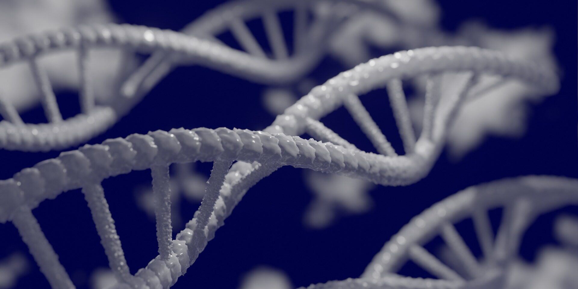 dna-5297378_1920