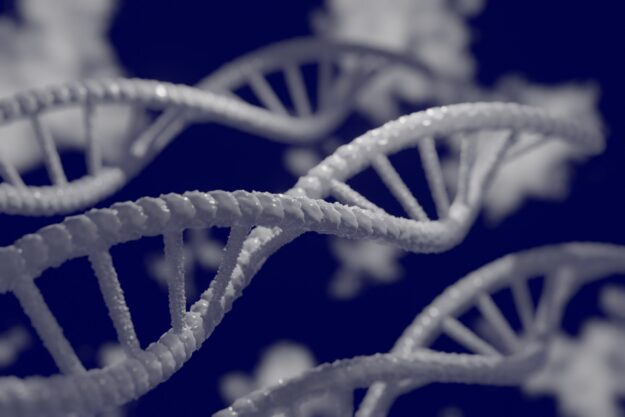 dna-5297378_1920