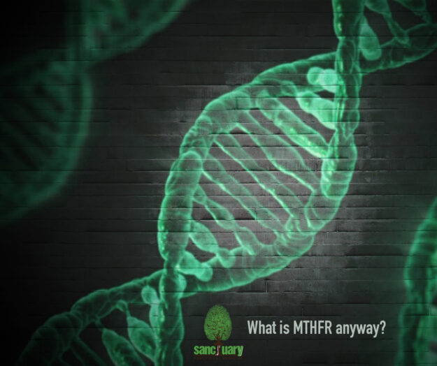 MTHFR DNA