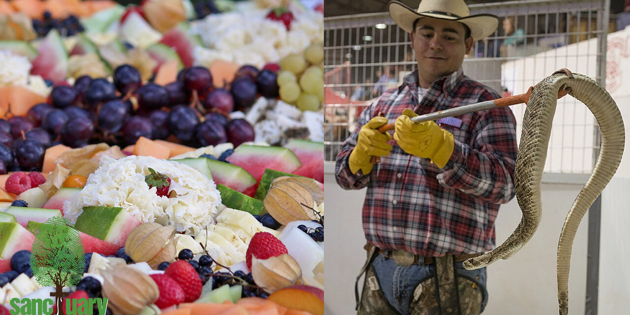 food and snake handler