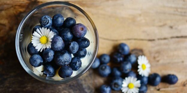 blueberries-2278921__340