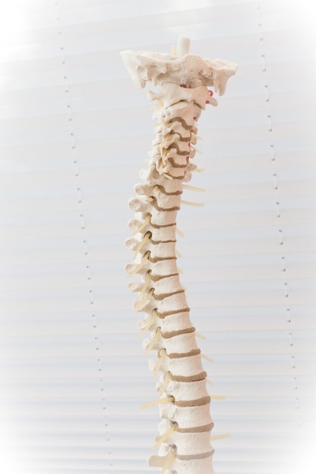 spine-2539697_1920
