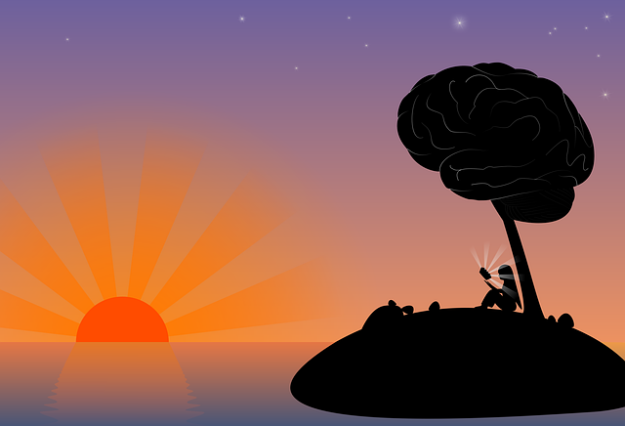 sunset and brain tree
