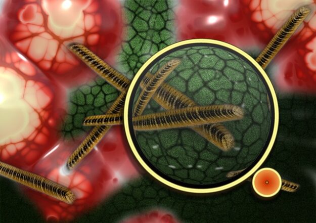 bacteria under magnifying glass