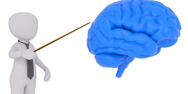 model man pointing at model brain