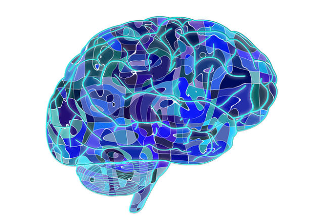 brain mosaic