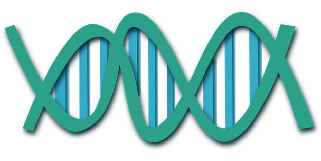 dna graphic