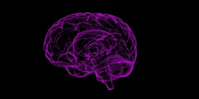 brain-1787622_640