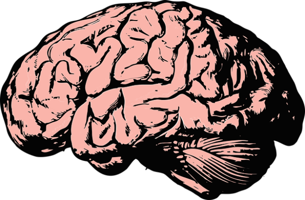 brain-2845862_640