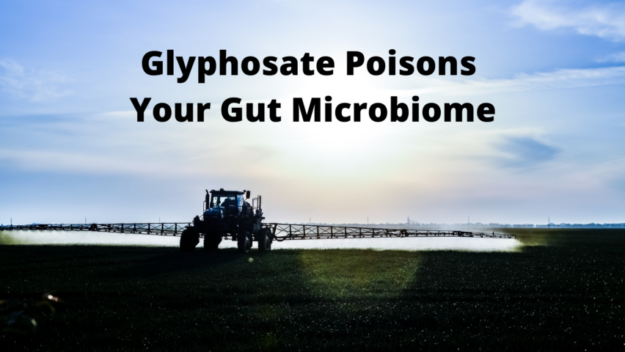 1105w04a Glyphosate