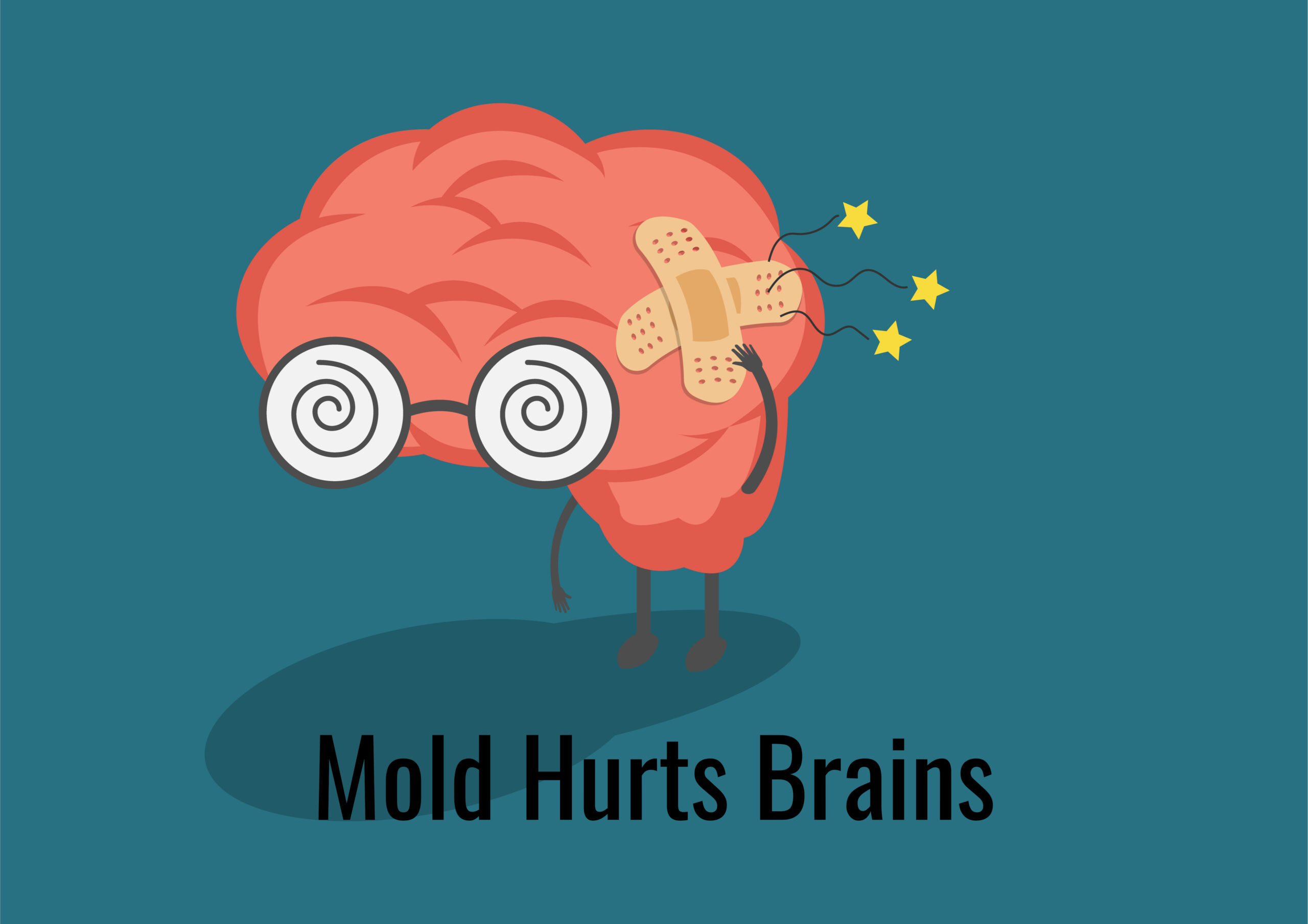 Mold Hurts Brains Sanctuary Functional Medicine