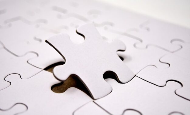 Interlocking Causes of Autism