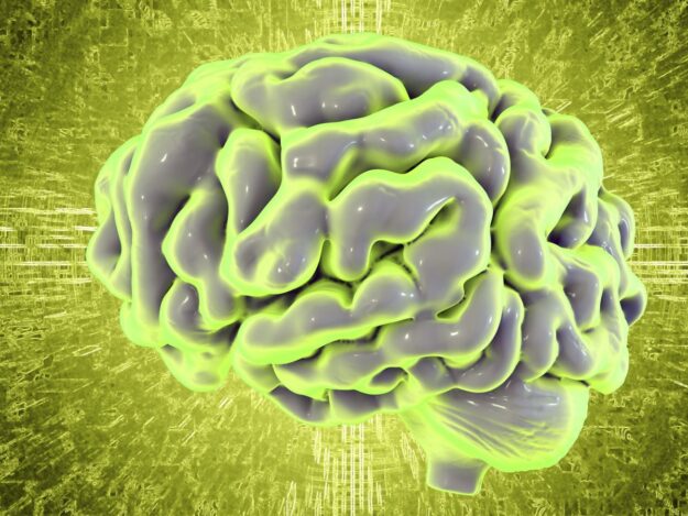 Autism_Brain_shutterstock_717515791 – Copy