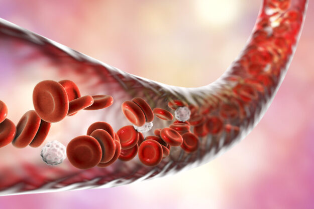 shutterstock_527608129-1024×683