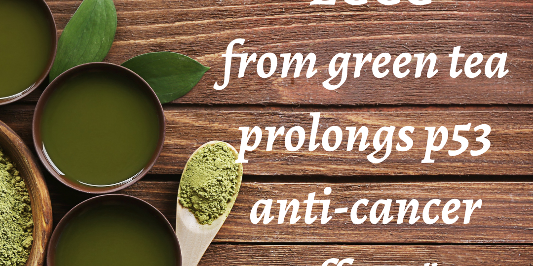 Green tea cancer prevention