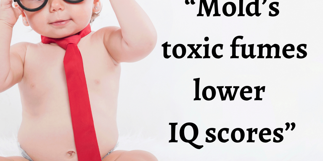 0208w3b Mold in kid brains – caption still