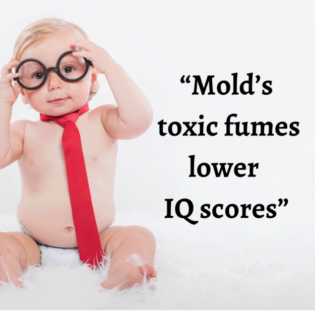 0208w3b Mold in kid brains – caption still