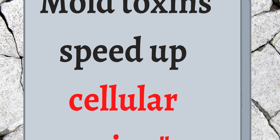 0302w1b Mold toxins speed up cellular aging_ caption still