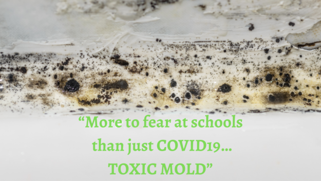 0406w3b Post COVID Moldy Schools – caption wide still
