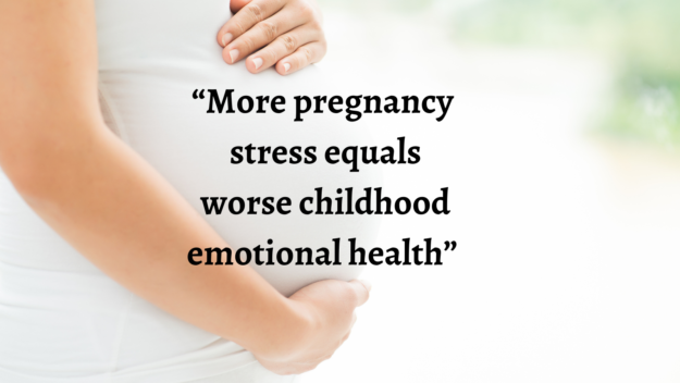 0502w4b Stressors During Pregnancy Caption still