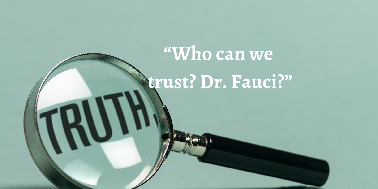 0506w2b National Immune System – caption still