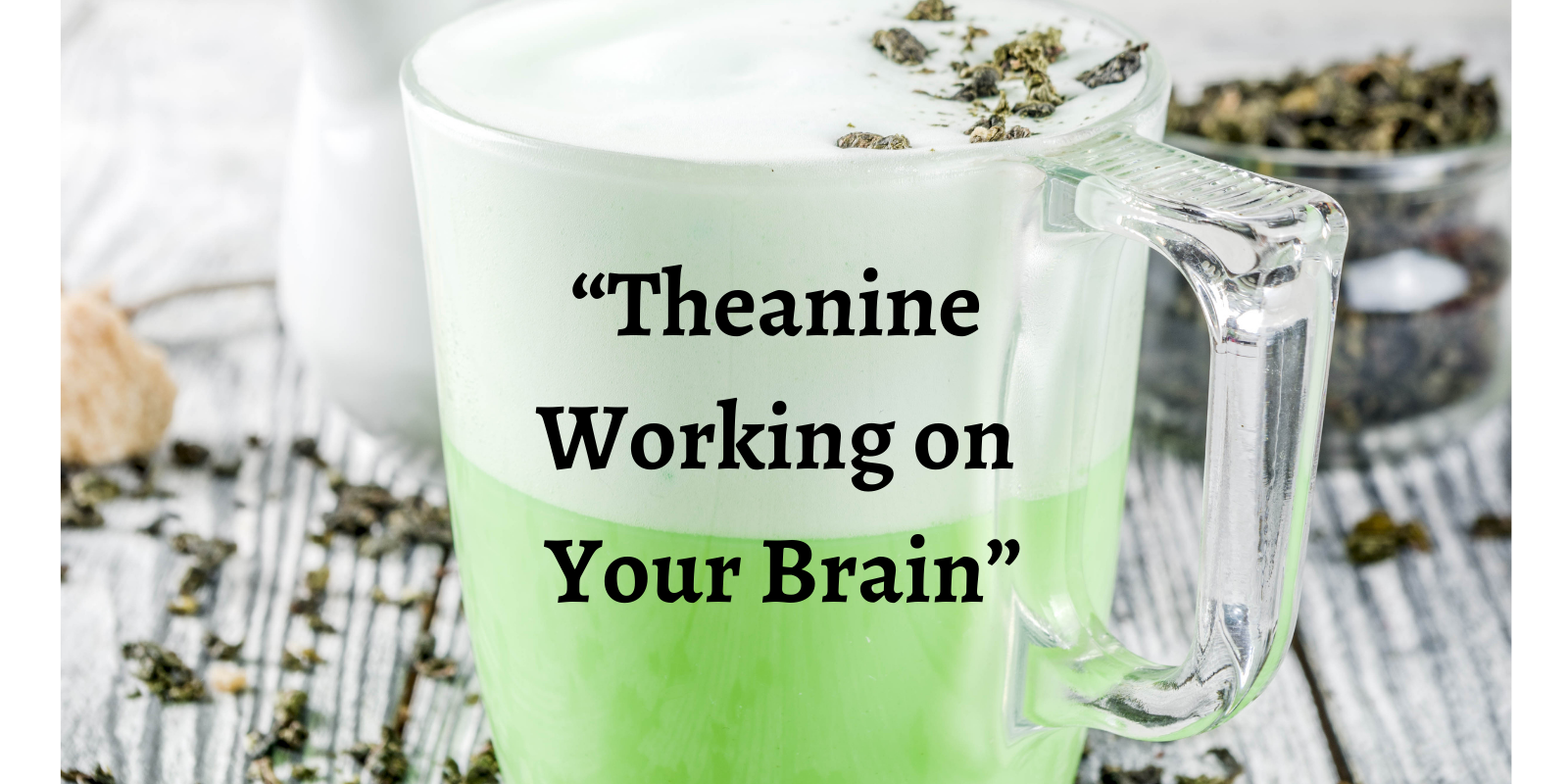 0508w3b Review of Theanine in the Brain – caption still