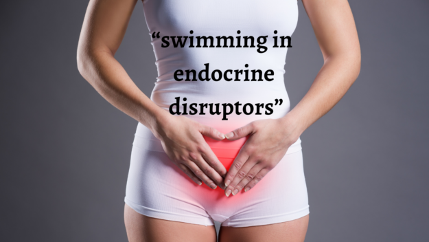 0606w3b Mycotoxins and Other Endocrine Disruptors – caption still
