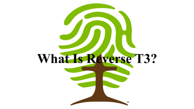 What Is Reverse T3