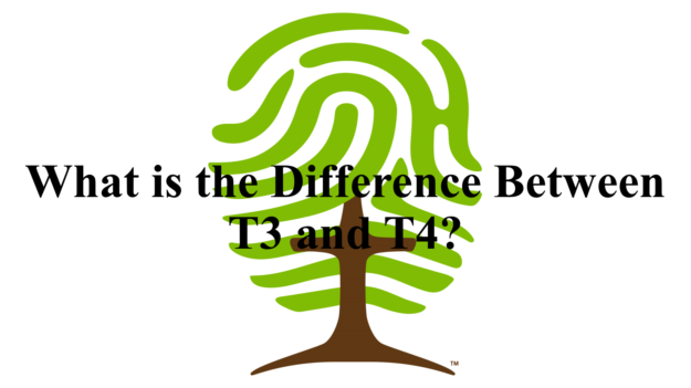 What is the Difference Between T3 and T4