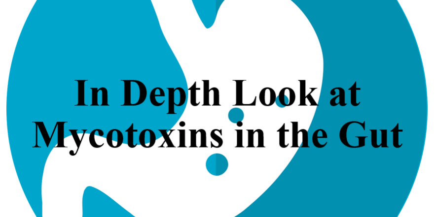 In Depth Look at Mycotoxins in the Gut