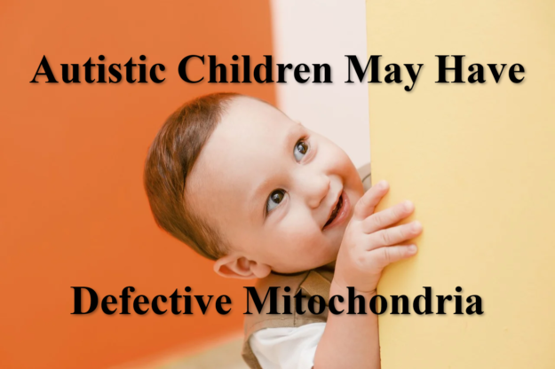 Autistic Connections Mitochondria