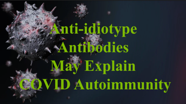 Antibodies Autoimmune COVID