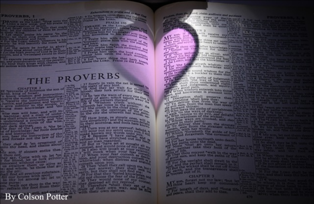 Proverbs C Potter Author A Bible open to proverbs with authorial attribution to Colson Potter in bottom left