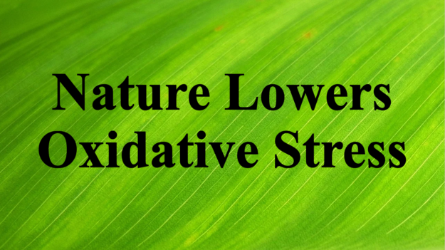 Nature Lowers Oxidative Stress