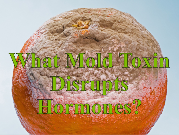 What Mold Toxin Disrupts Hormones