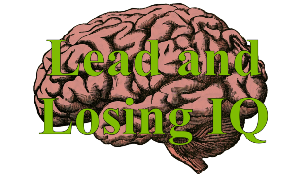 Lead and Losing IQ