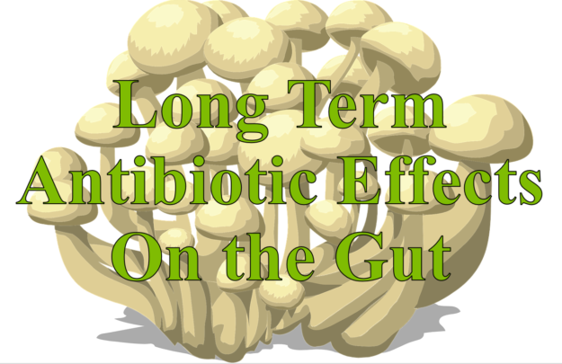 Long Term Antibiotic Effects