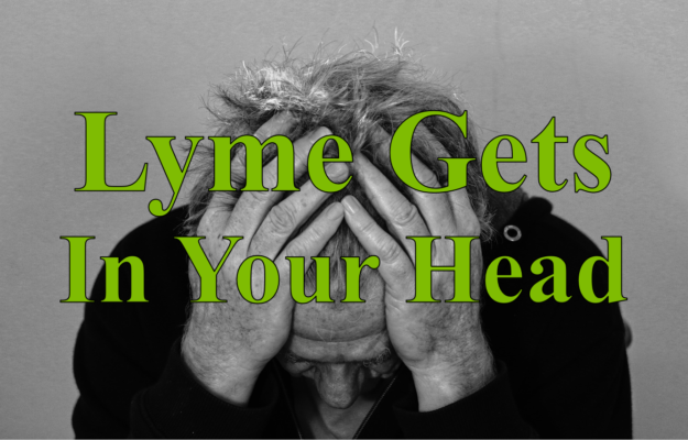 Lyme Gets in Your Head