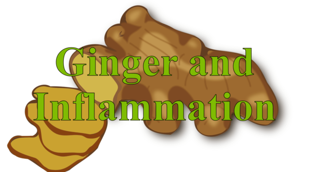 Ginger and Inflammation