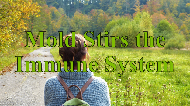 Mold Stirs the Immune System