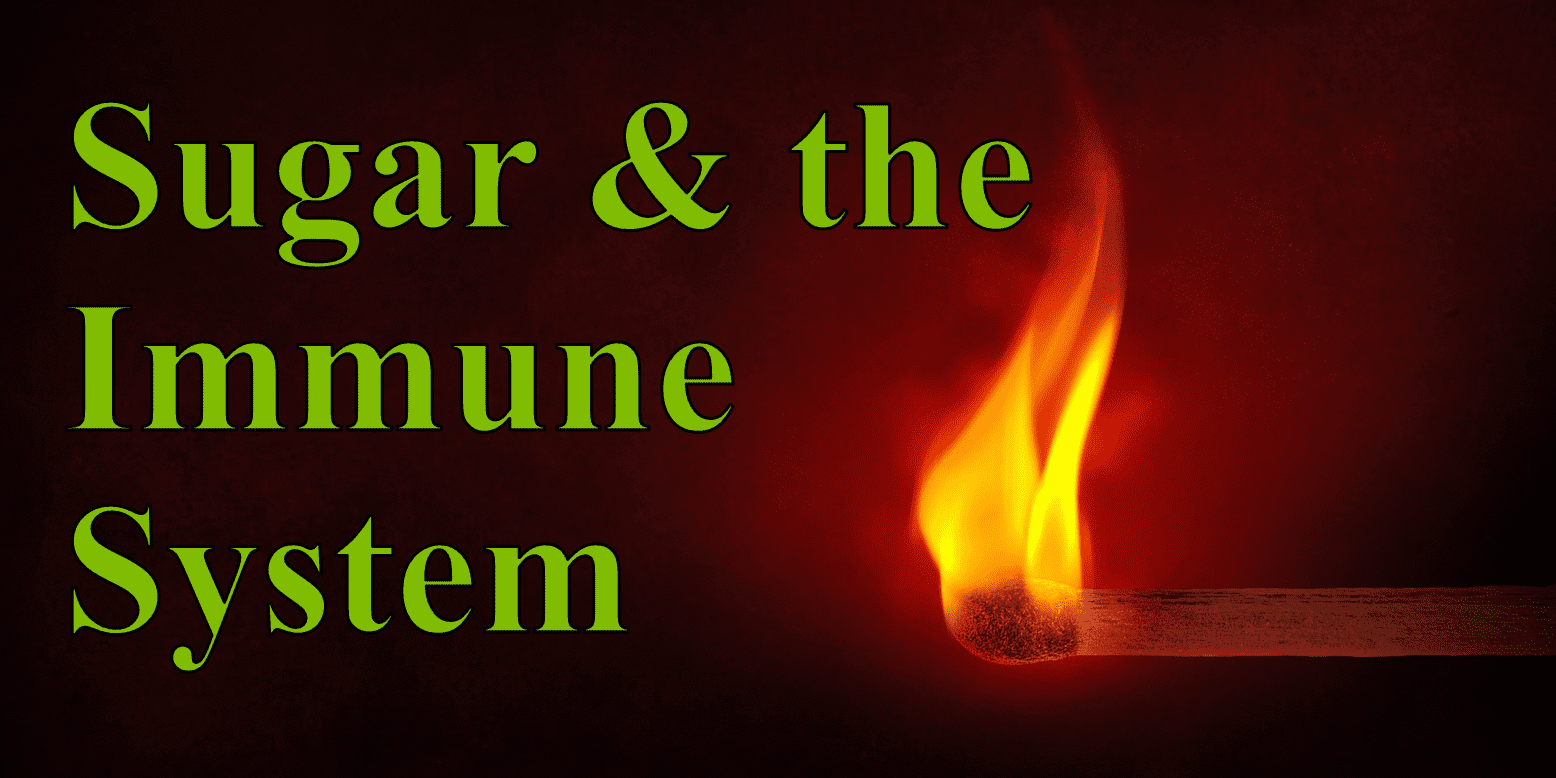 sugar and the immune system