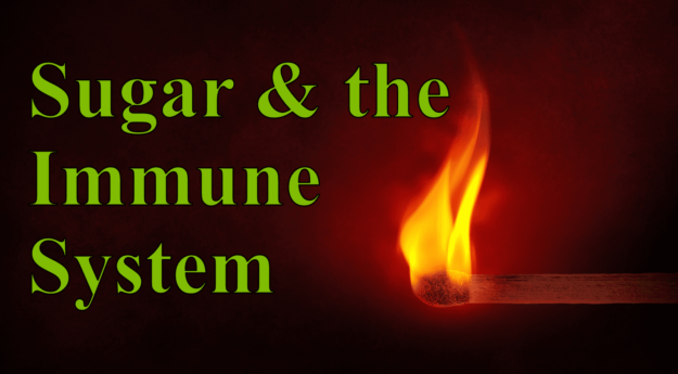 sugar and the immune system