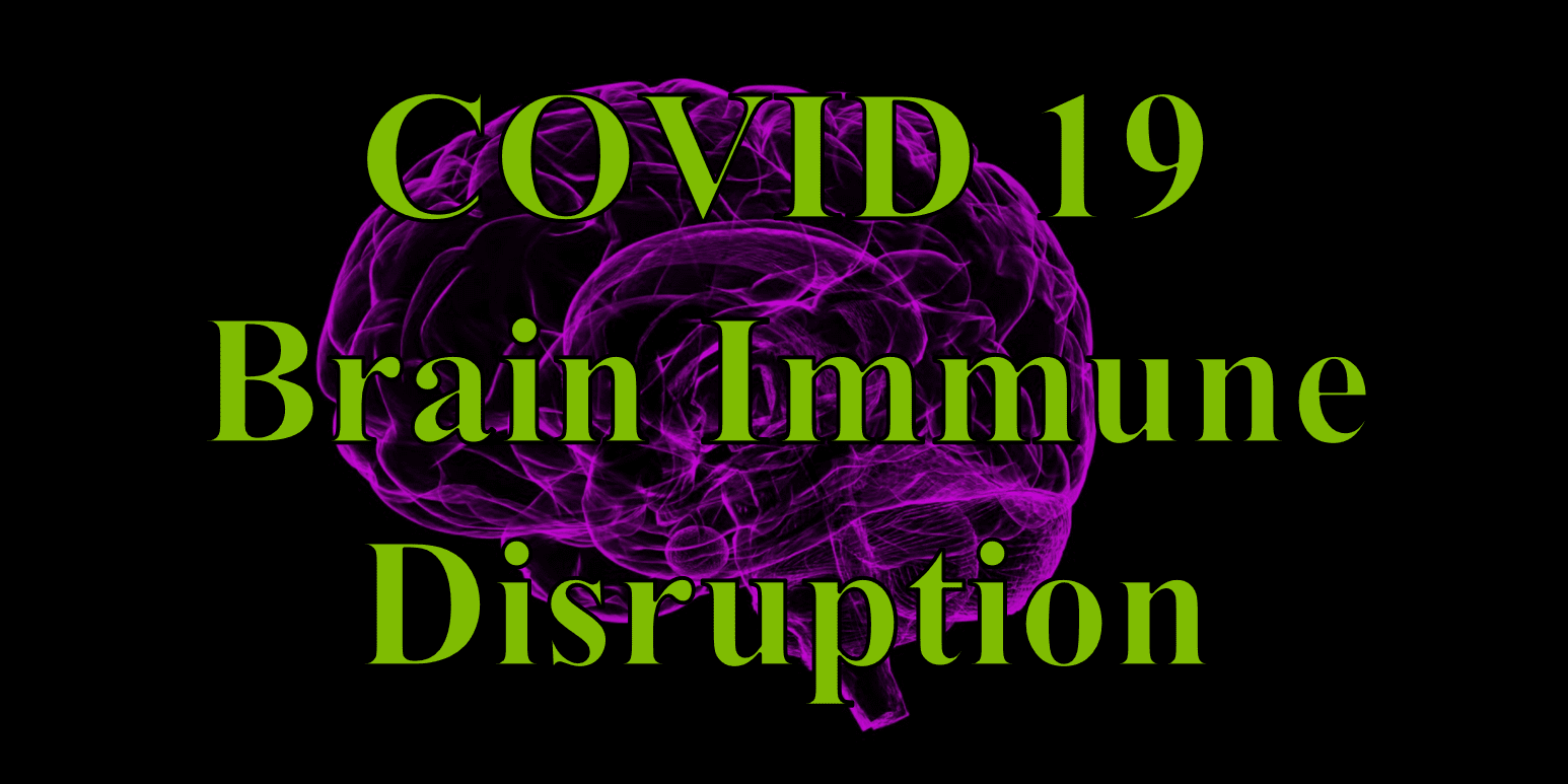 COVID 19 Brain Immune Disruption