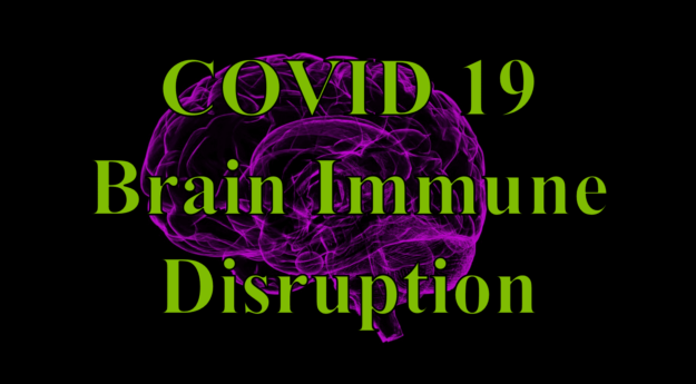 COVID 19 Brain Immune Disruption