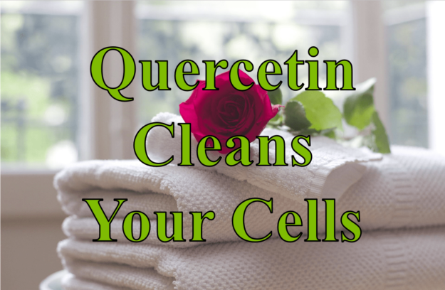 Quercetin Cleans Your Cells