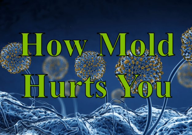 How Mold Hurts You