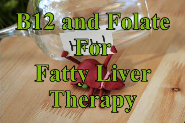 B12 and Folate for Fatty Liver Therapy