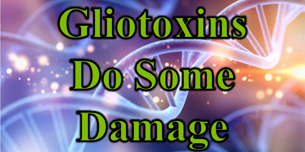 Gliotoxins Damage