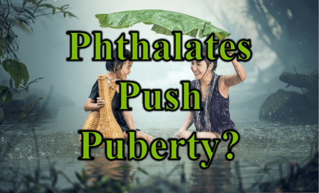 Phthalates Push Puberty