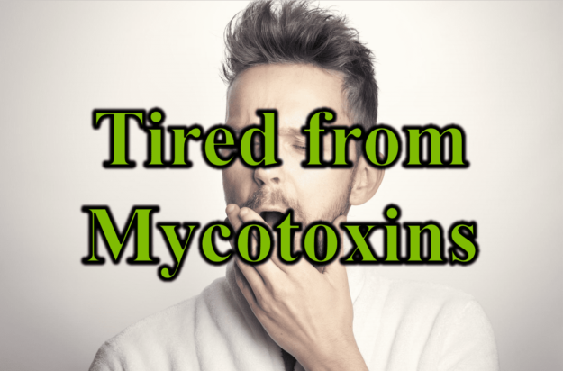 Tired from Mycotoxins